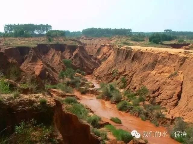 水土保持基本常識100問